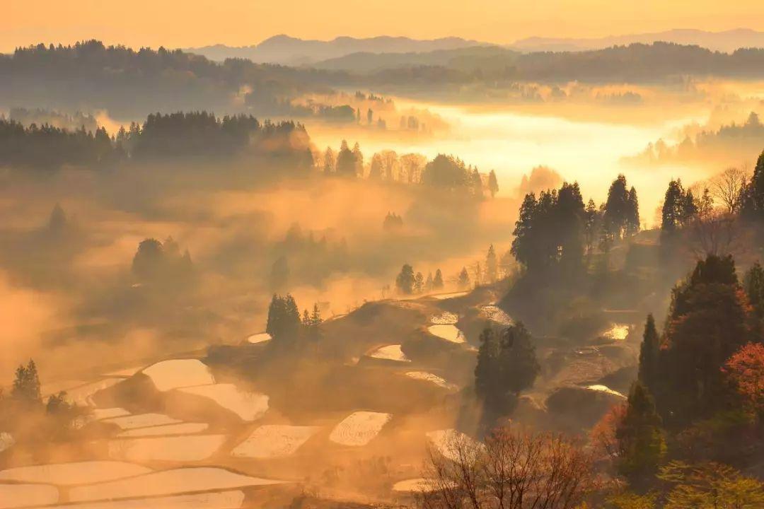 阴阳师